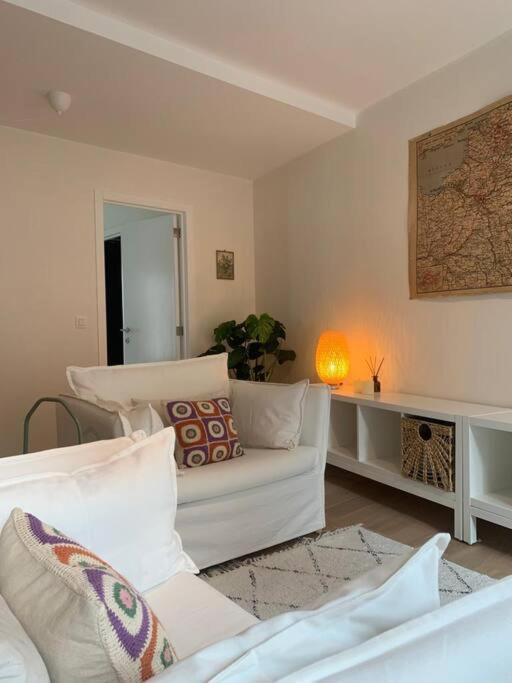 Cozy Studio In Centre Of Old Town أنتويرب المظهر الخارجي الصورة